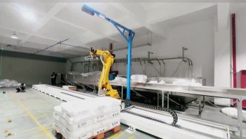Robotic unpacking machine