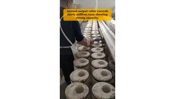 Video 23