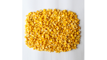 Premium dehydrated corn kernels