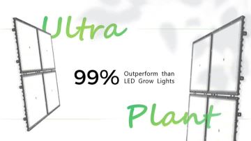 Ultra Plant Product Description
