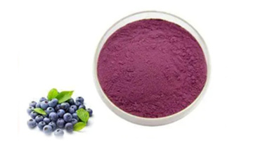 Blueberry powder