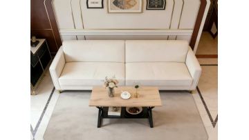 TL-21C06 Modern Coffee Table with Storage for Contemporary Living Rooms