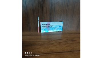 LH Ovulation Strip 2