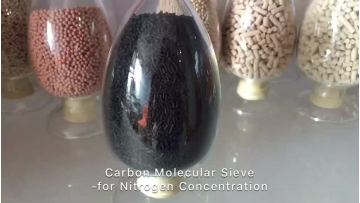 manufacturing carbon molecular sieve CMS 220 240 260 280 in psa for nitrogen generator1