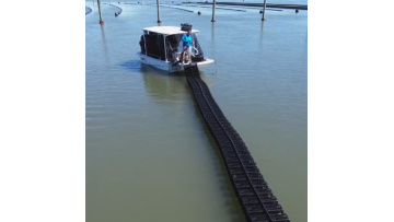 Deploy new hexagonal oyster cages in the ocean
