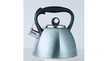 Octagonal shape design water kettle FH-478A