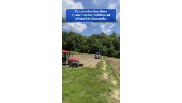 Video 25