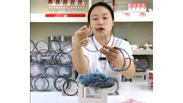 Piston ring product explanation
