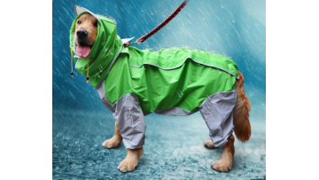 pet clothing