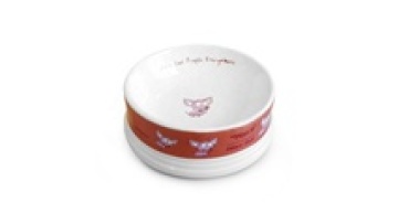 Cute Ceramic Pet Bowl - Rabbit Hay Feeder & Slow Feeder for Dogs1
