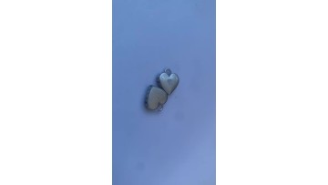 stainless steel heart