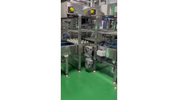 Steamed Bun and Chinese Bread Production Line