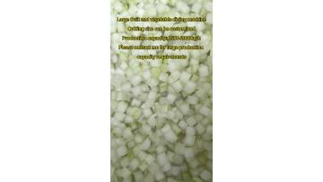 Large fruit and vegetable dicing machine