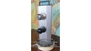 DJJQ1 FIngerprint Knob Door Lock