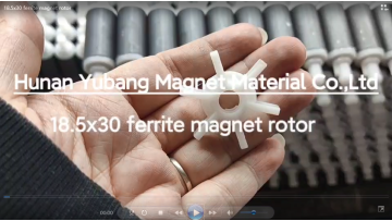 18.5x30 ferrite magnet rotor