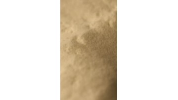 CHANPIN (11)