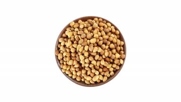Bush Cherry Seed