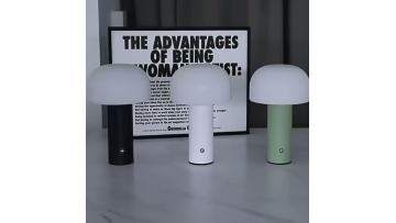 Rechargeable Decorative Table Lamp with Dome Shade Design