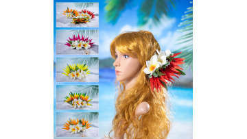 KN-hc004m hair clip