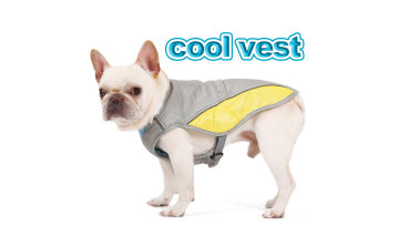 cooling vest dog