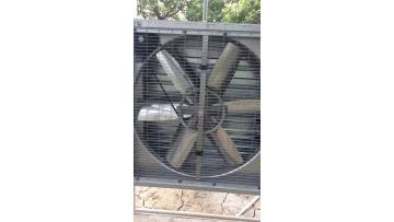 fan