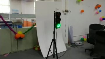 customized 100mm traffic light