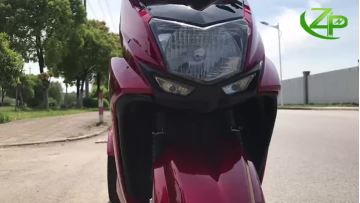 ZP MOTOS - ZP TRIWORK