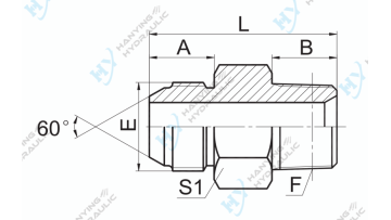 JIS Metric Male 60 Cone NPT Male