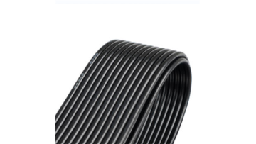 PL Ribbed Belt 1