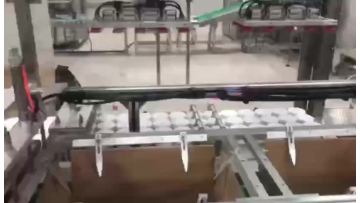 2 heads top filling case packer with robot palletizing