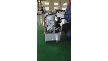 PES206M one conn electric pump
