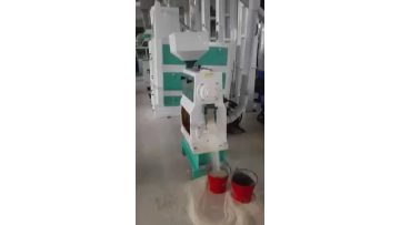 Complete set Aromatic rice milling 