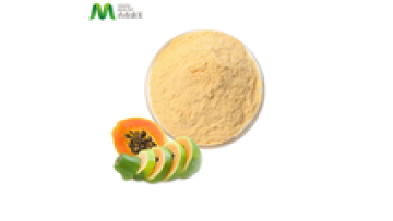 Food Grade Pawpaw Powder Spray Dried Green Papaya Powder1