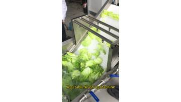 Vegetable Washing machine bubble washing machine