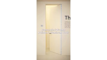 modern hidden door