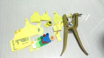 Colorful Mouse Ear Tags with laser numbers1