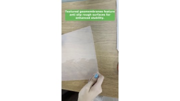 Video 24