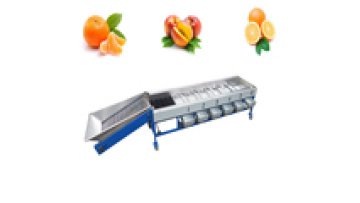 Fruit Sorting and Grading Machine1