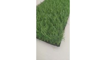 full green landscape grass