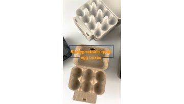 Biodegradable paper pulp 12 cells custom color quail egg carton1