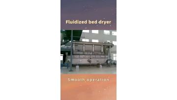 Fluidized bed dryer2
