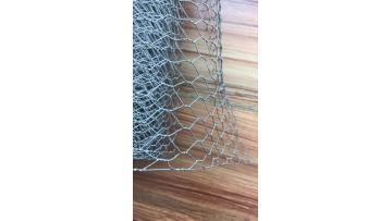 Hot sale 1 / 4 galvanized hexagonal chicken wire /chicken mesh1