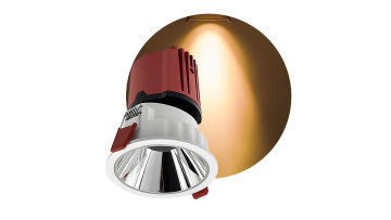 bed color body led downlight