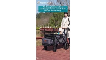Video 29