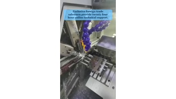 Video 31