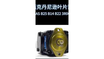 Parker Denison vane pump