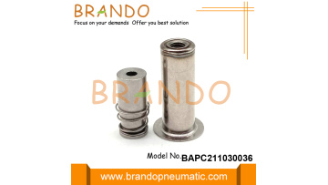 RO Solenoid Valve Armature BAPC211030036