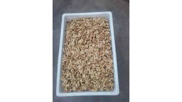 Xiner Round walnut kernel