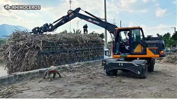 Grab Excavator Harvests Sugarcane Effortlessly