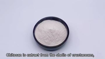 Chitosan powder 90%TC